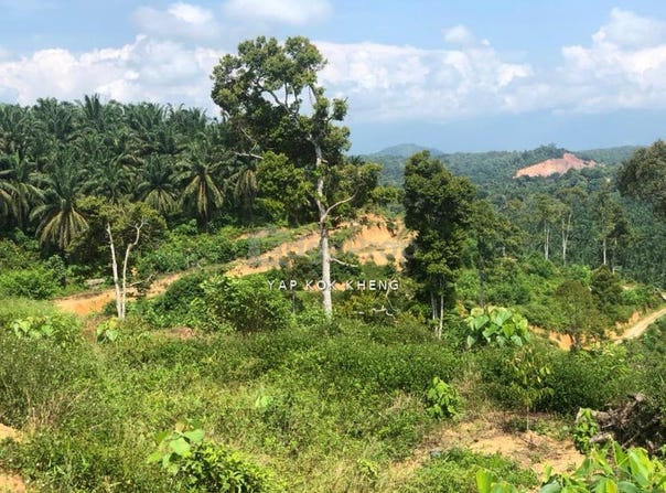 Kuala Kangsar, Perak 31100
