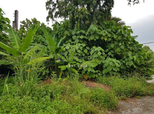 Sungai Buloh, Selangor 40160