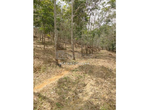 Bentong, Pahang 28700