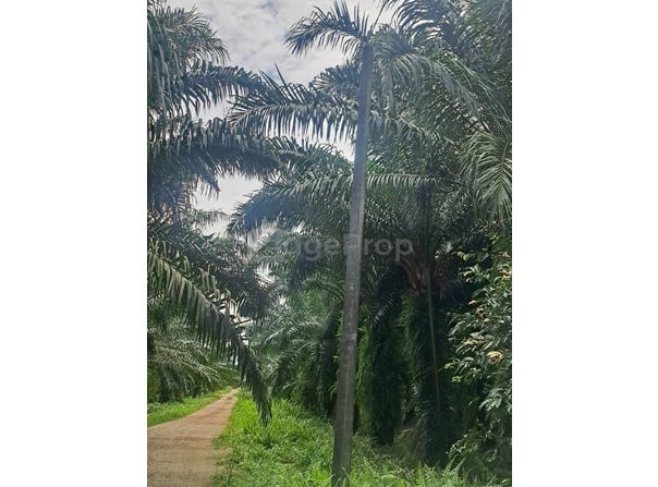 Jenjarom, Selangor 42600