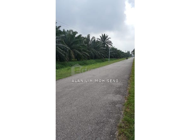 Kuala Langat, Selangor 42500