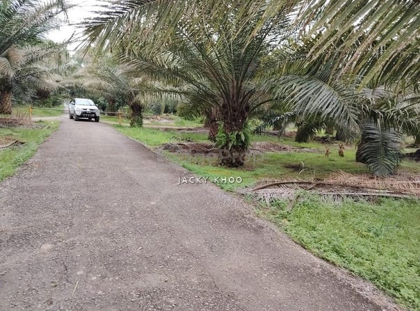 jalan pasar, Jenjarom, Selangor 42600