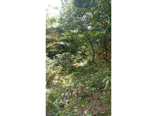 Kulim, Kedah