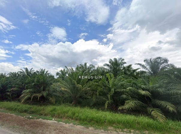 Banting, Selangor 42700