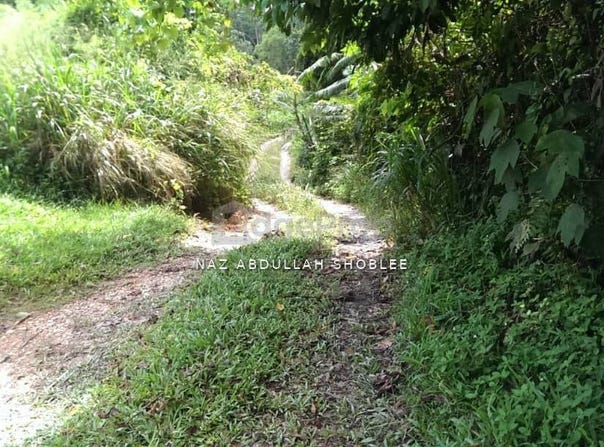 Hilir Perak, Perak