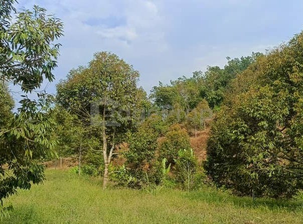 Hulu Perak, Perak