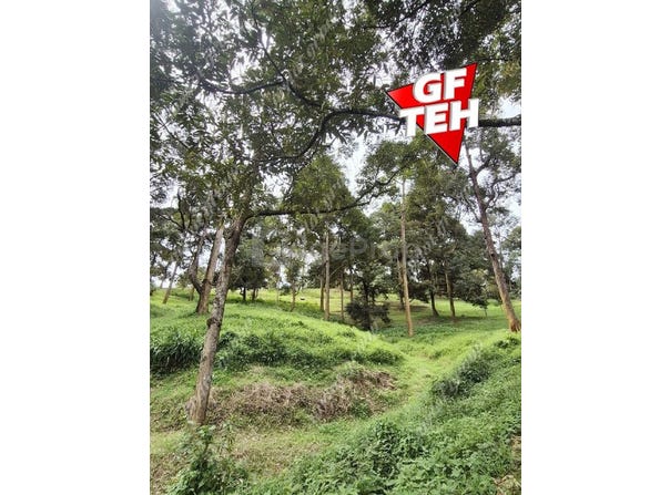 Taiping, Perak 0