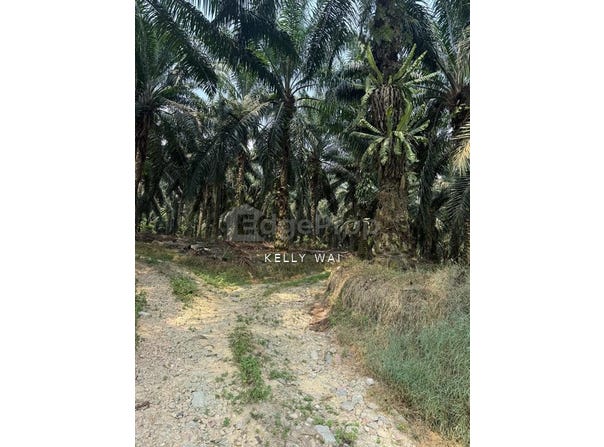 Ulu Tiram, Johor 81800