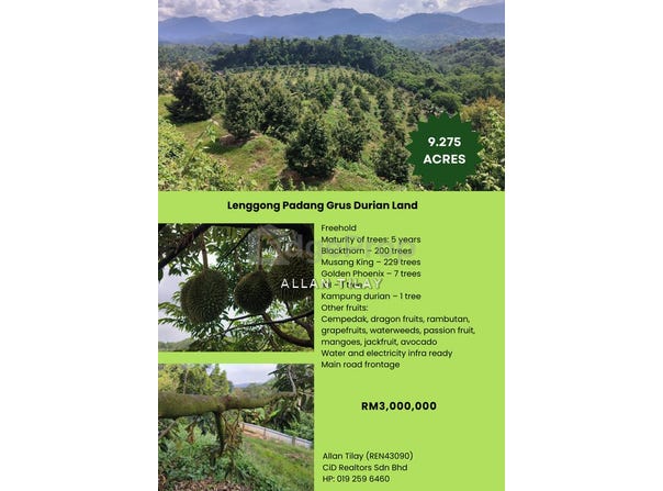 Hulu Perak, Perak