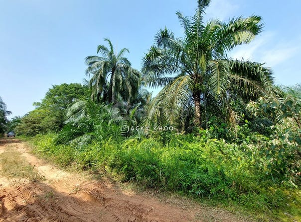 Jalan Kantan, Kuala Langat, Selangor 42700