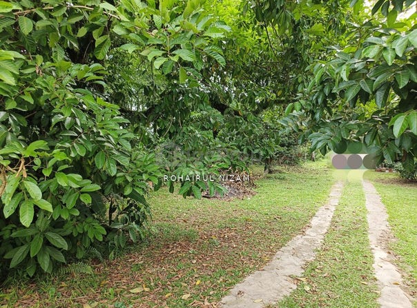 Sungai Buloh, Selangor