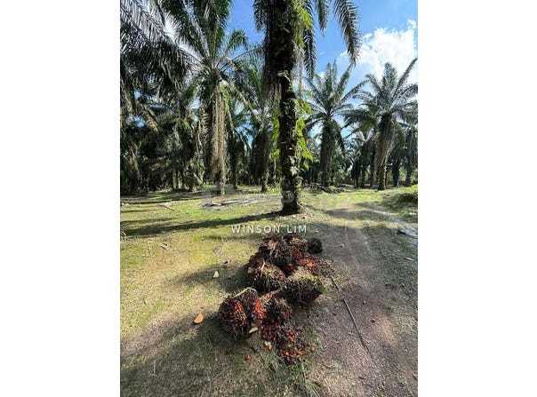 Kluang, Johor 86200