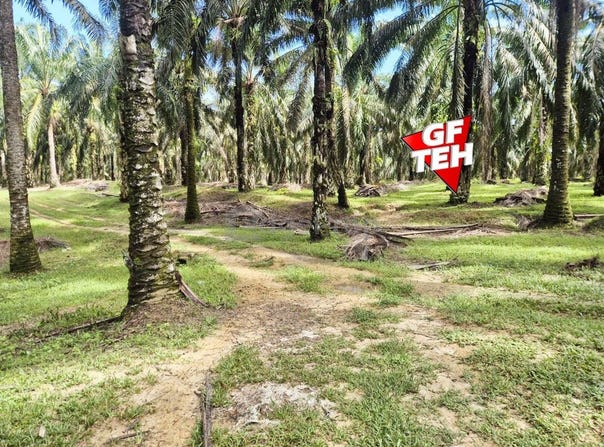 Selama, Perak