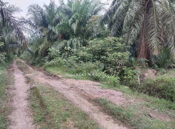Banting, Selangor 42700