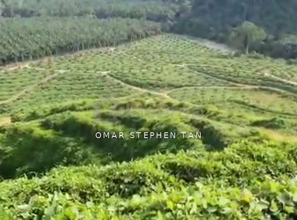 Kuala Kangsar, Perak 31100
