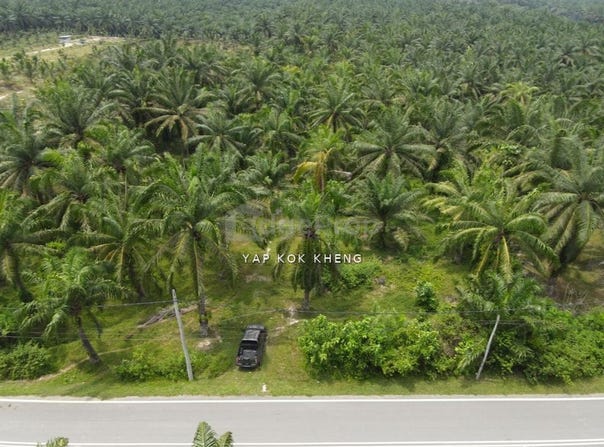 Kuala Kangsar, Perak 31100