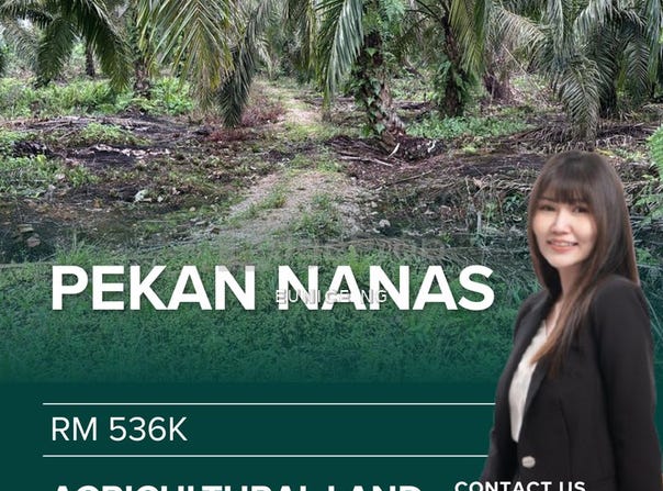 Pontian, Johor 81500