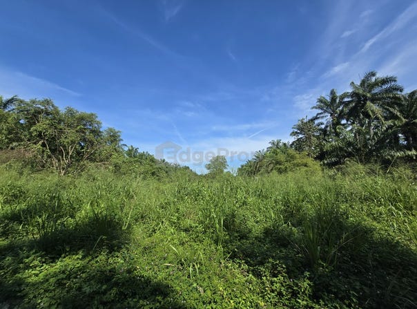 Kuala Selangor, Selangor 45600