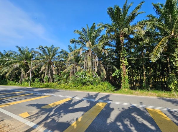 Kota Tinggi, Johor 81900