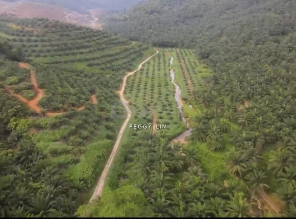 Kuala Kangsar, Perak 33000