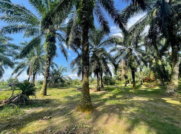 Banting, Selangor 42700