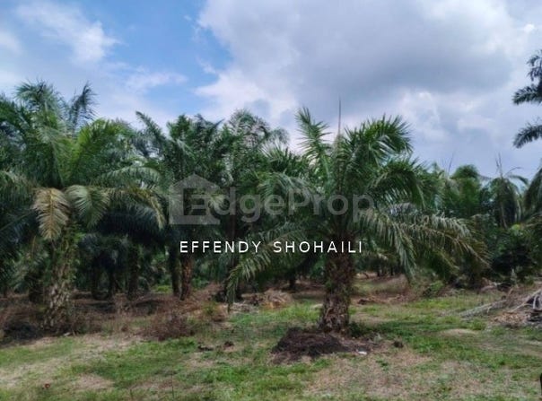 Muar, Johor 84000