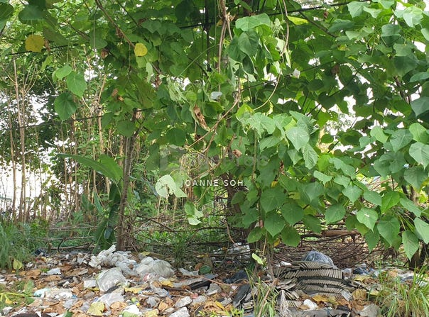 Semenyih, Selangor