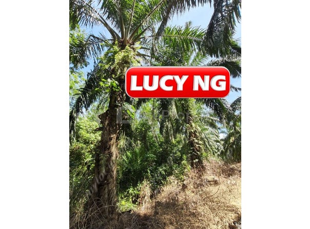 Hulu Perak, Perak 33400