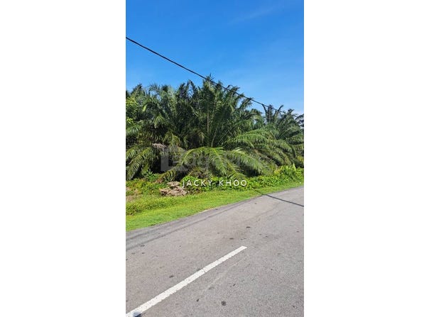 Banting, Selangor 42700