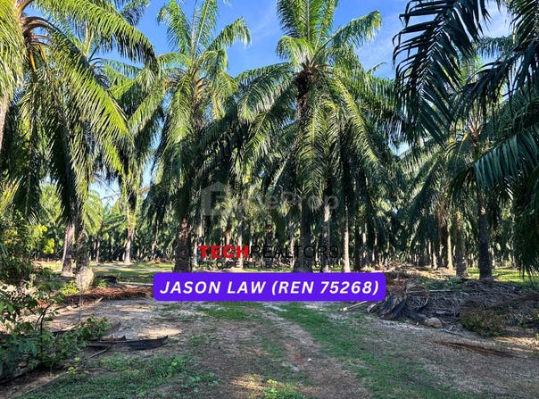 Bedong, Kedah 8100