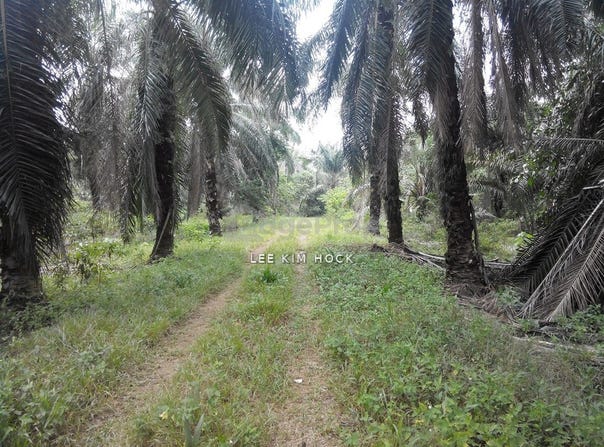 Jalan Sukepi, Jenjarom, Selangor 42600