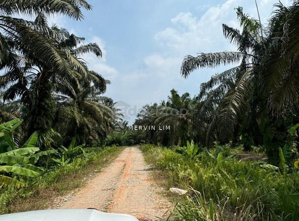 Kulai, Johor 81000