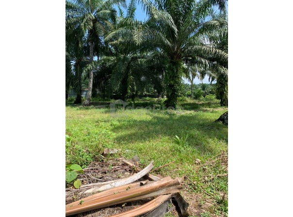 Banting, Selangor 42700