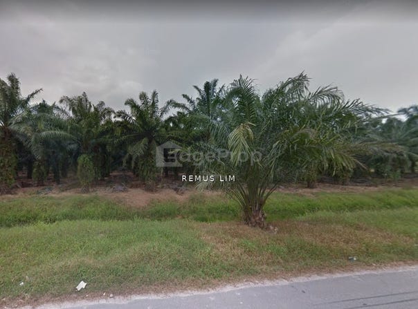 Banting, Selangor 42700