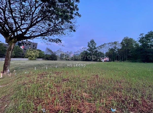 Bukit Jelutong, Selangor