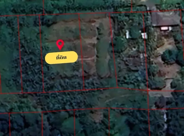105 ซอย นาวี 3, คลองสอง, คลองหลวง, ปทุมธานี, 12120 ประเทศไทย, คลองหลวง,