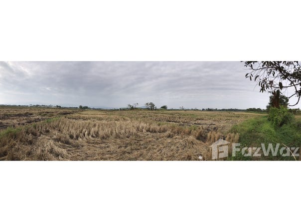 การตั้งชื่อพาซุส, ถนน พหลโยธิน, เวียง, เชียงราย, 57000 ประเทศไทย, เชียงราย,