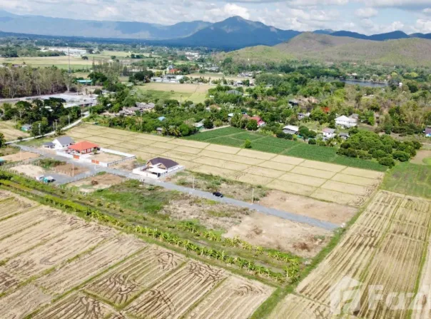 บ้านดงแม่ซ้อ, อำเภอสันกำแพง, จังหวัดเชียงใหม่, ประเทศไทย, สันกำแพง,