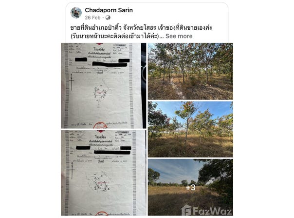 แบมแบม, โพธิ์ไทร, ป่าติ้ว, ยโสธร, 35150 ประเทศไทย, ป่าติ้ว,