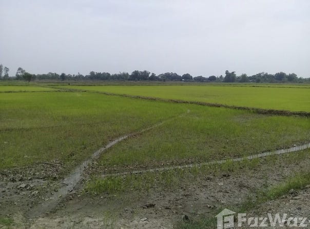 คอลลี่ ลักซ์, วังกระโจม, นครนายก, 26000 ประเทศไทย, นครนายก,