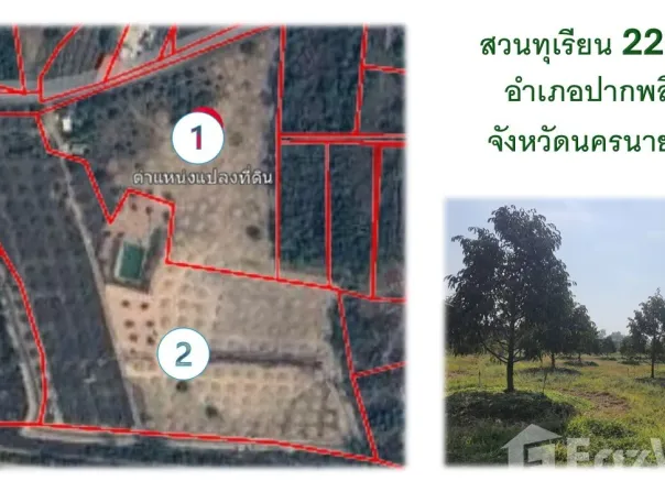 บ้านหนองหัวเสือ, โคกกรวด, ปากพลี, นครนายก, 26130 ประเทศไทย, ปากพลี,