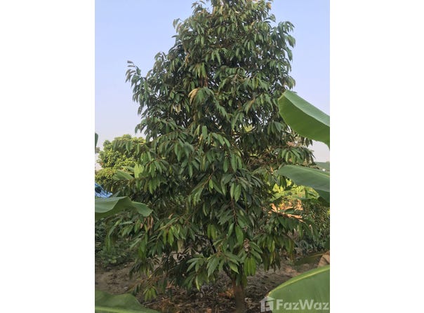 อู่องอาจเจริญยนต์, โคกไม้ลาย, ปราจีนบุรี, 25230 ประเทศไทย, ปราจีนบุรี,