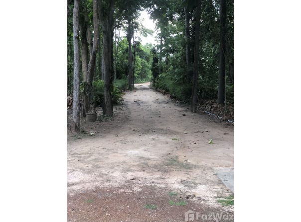 คาเฟ่ซอซุลลา, บ้านโคก, มุกดาหาร, 49000 ประเทศไทย, มุกดาหาร,