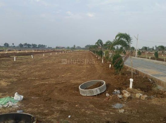 Kankipadu, Krishna, Andhra Pradesh