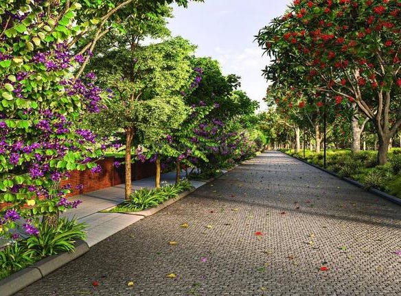 Devanahalli, Bengaluru, Karnataka
