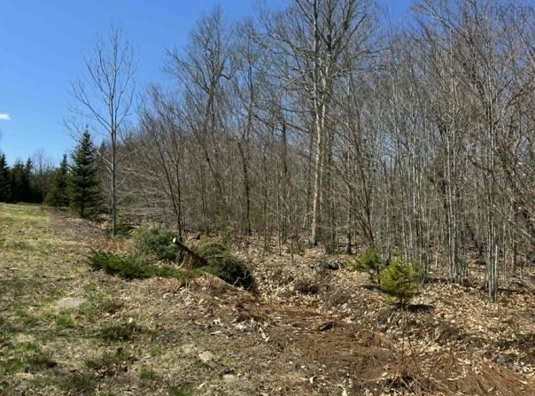 Kill Dog Cove Road Lot R-10, Parkdale, NS B0R 1A0