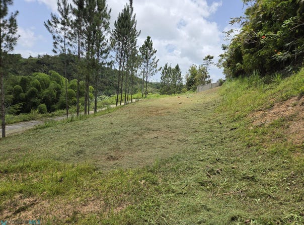 157 ZAFIRO, Ceiba, Cidra, 00739
