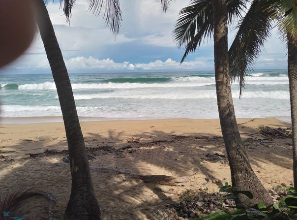 Carr 413 ROAD 413, Rincon, Rincon, 00677