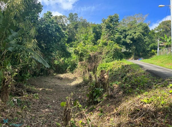 Lot 7 PR 156, Comerio, Comerio, 00782