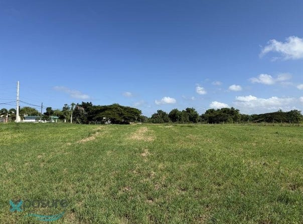 7 BARRIO MORA, Isabela, Isabela, 00662